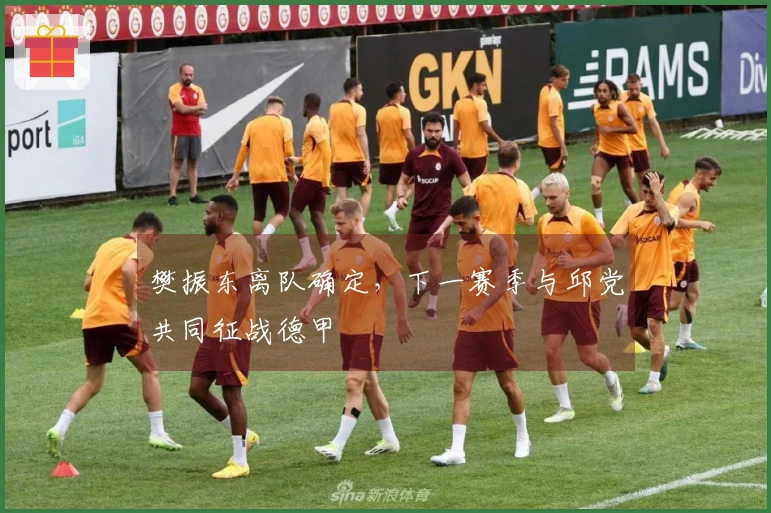 樊振东离队确定，下一赛季与邱党共同征战德甲