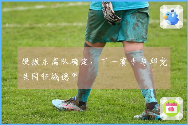 樊振东离队确定，下一赛季与邱党共同征战德甲