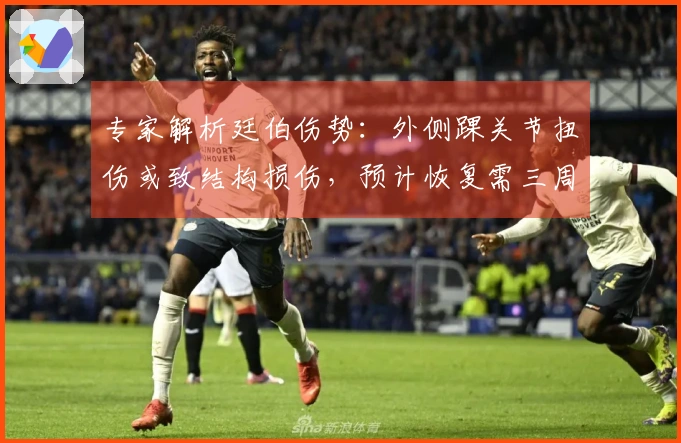 专家解析廷伯伤势：外侧踝关节扭伤或致结构损伤，预计恢复需三周以上