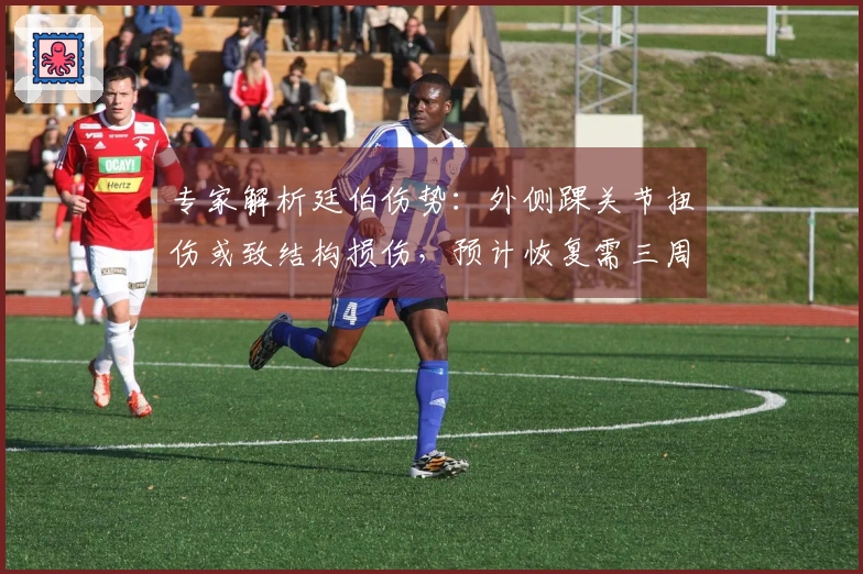 专家解析廷伯伤势：外侧踝关节扭伤或致结构损伤，预计恢复需三周以上
